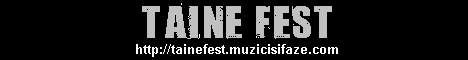 Taine Fest banner